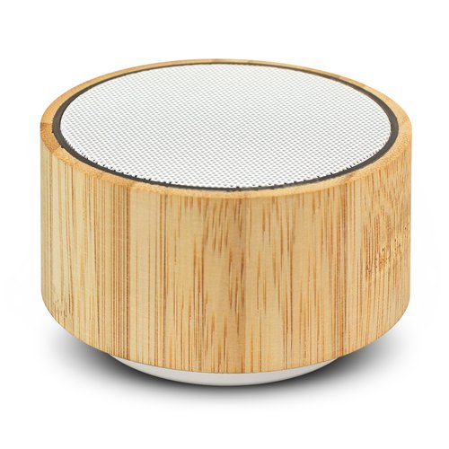 Custom Speaker